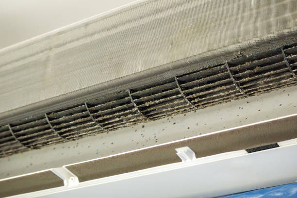 Best Emergency Air Duct Cleaning  in Falmouth, KY